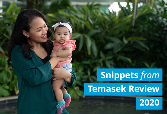 Snippets from Temasek Review 2020